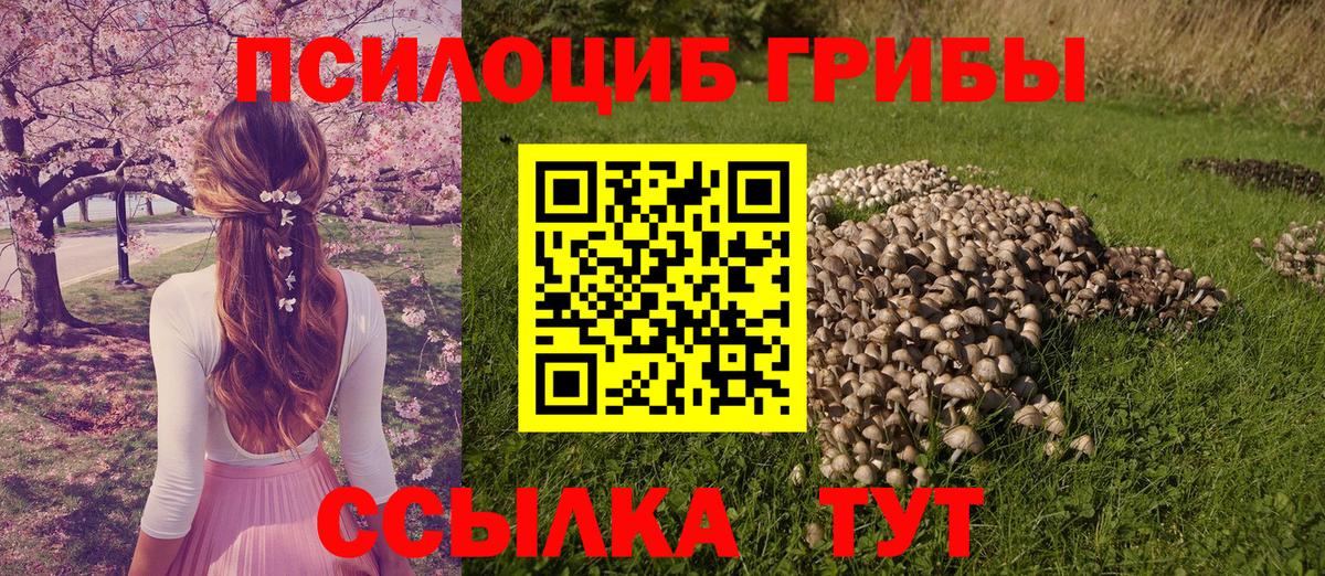 Галлюциногенные грибы Psilocybine cubensis Острогожск