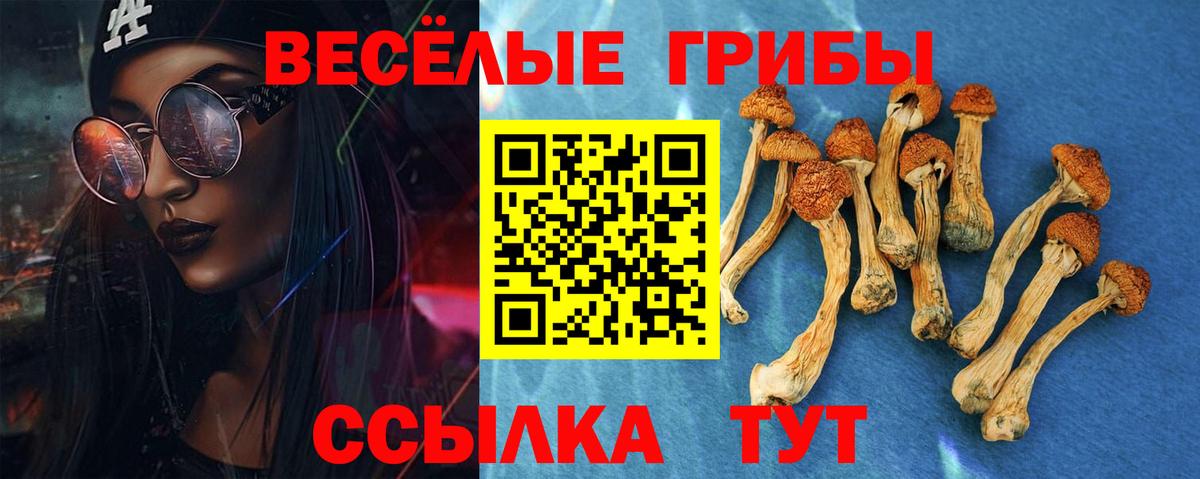 Острогожск  Галлюциногенные грибы прущие грибы  где купить наркотик  Вход с VPN 